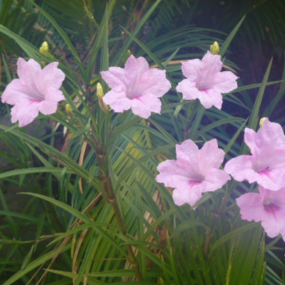 Meet your Posher, Sandy